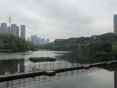 -重庆彩云湖湿地公园