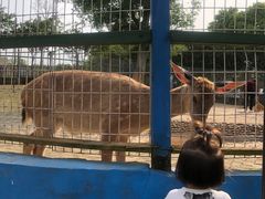 -武汉紫薇都市田园