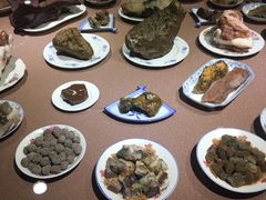 -陕西自然博物馆