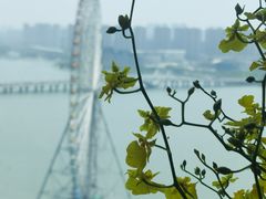 -君来湖滨饭店·渔餐厅
