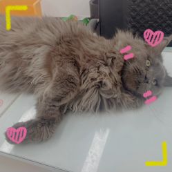-熙.Hair 丨专注女子中长发丨