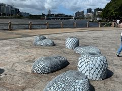 -布里斯班南岸公园