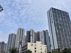 -黄埔荔枝公园