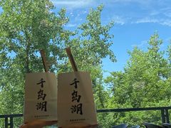 -宝荣鱼馆·临湖之宴(千岛湖店)