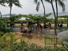 -三亚亚龙湾天域度假酒店