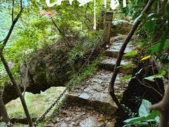 -树山生态村
