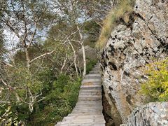 -白草畔自然风景区