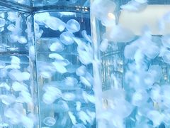 -欢乐海岸海洋奇梦馆