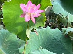 -千龙湖生态旅游度假区