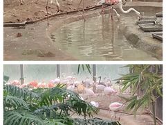 -北京动物园