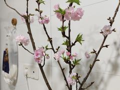 -王興記(中山路店)