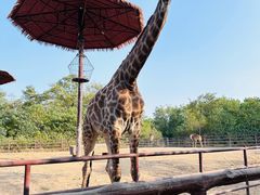 -济南野生动物世界