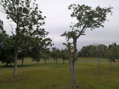 -福建鲤鱼洲酒店