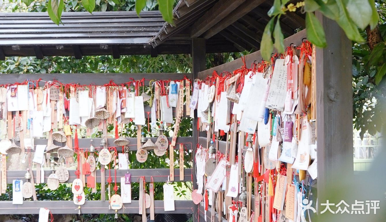 杭城秋日🍂赏桂好去处｜有个神仙村落桂花开啦💓