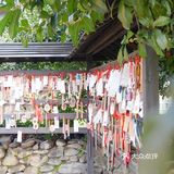 杭城秋日🍂赏桂好去处｜有个神仙村落桂花开啦💓