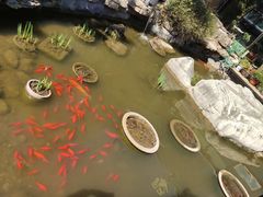 -聚缘堂·海鲜私房菜(松岭路店)