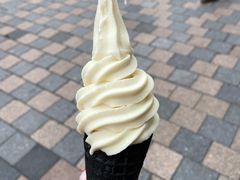 -仙境豆夫(步行街旗舰店)