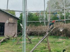 -合肥野生动物园