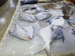 -板桥海鲜广场(文明东店)