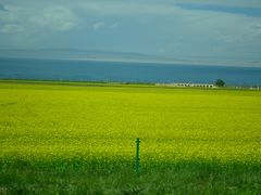 -青海湖国家重点风景名胜区