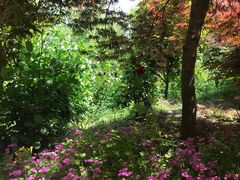 -南通洲际绿博园