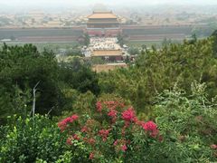 android_upload_pic-景山公园