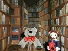 -济州岛泰迪熊博物馆