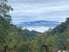 -泰山风景名胜区