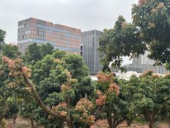-深圳大学(丽湖校区)