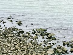 -贡湖湾湿地公园