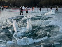 -长春市南湖公园