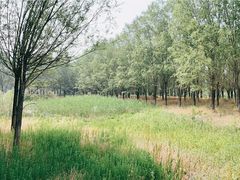 -东郊湿地公园
