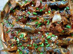 -水库活鱼馆(于桥水库店)