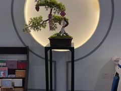 -席仁堂推拿按摩脊柱调理(世纪科贸大厦店)
