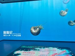 -贵州省地质博物馆