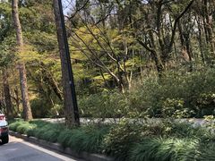 -苏堤停车场