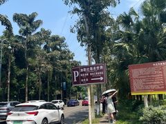 -重庆海昌加勒比海水世界