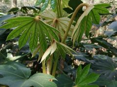 -杭州半山国家森林公园