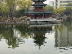 -迎泽公园