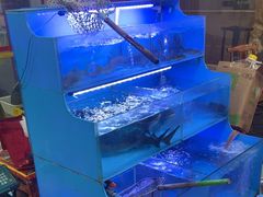 -韩妹鱼庄·泸定老字号(泸定店)