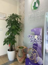 -美丽田园