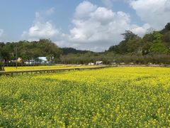 -红山村