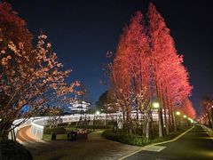 -江心屿景区