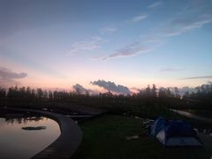 -春花秋色城市公园