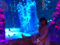 -沈阳海洋探索中心