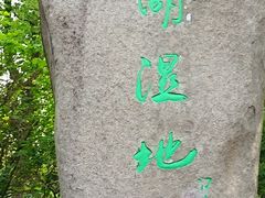 -溱湖国家湿地公园