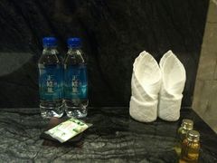 -河源万绿湖美思威尔顿酒店