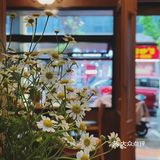 新店｜若這一束吊燈傾瀉下來，或在杯中繪成繾綣星河。