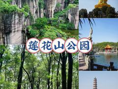 -莲花山公园