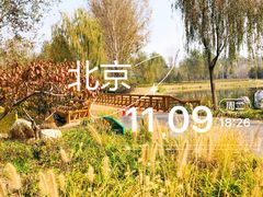 -东郊湿地公园